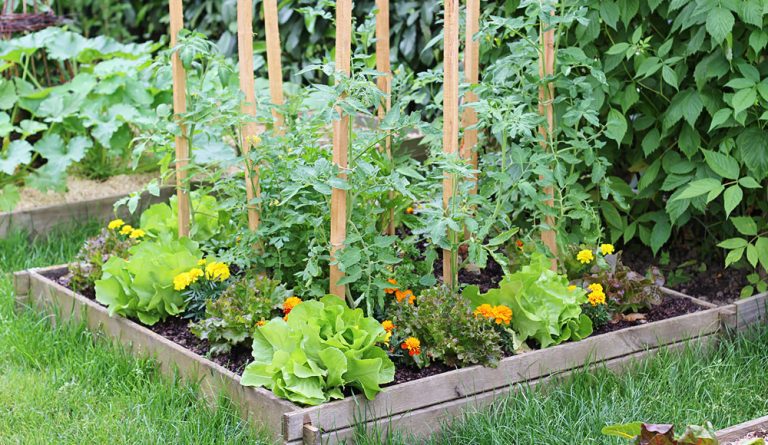 Gemüsegarten Seas4All Gartenmöbel Schutzhüllen